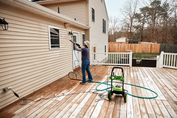 Best Affordable Power Washing  in Edwards, MS