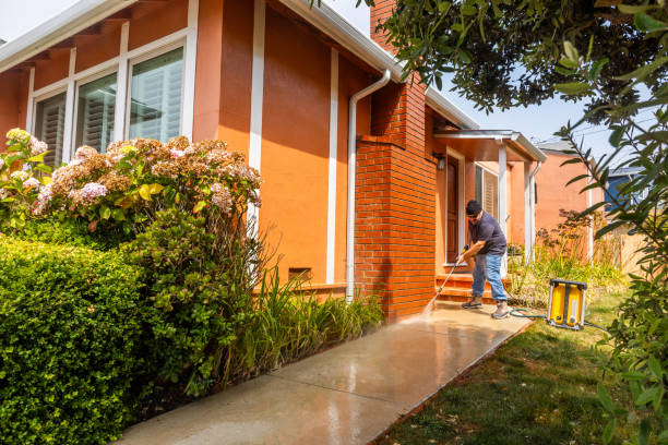 Best Exterior Home Cleaning  in Edwards, MS